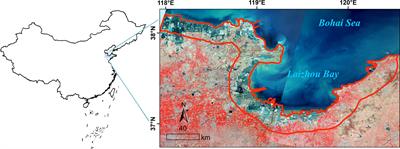 Coastal vulnerability modelling and social vulnerability assessment under anthropogenic impacts